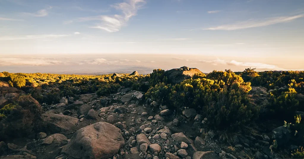 7 Days Kilimanjaro Lemosho Route