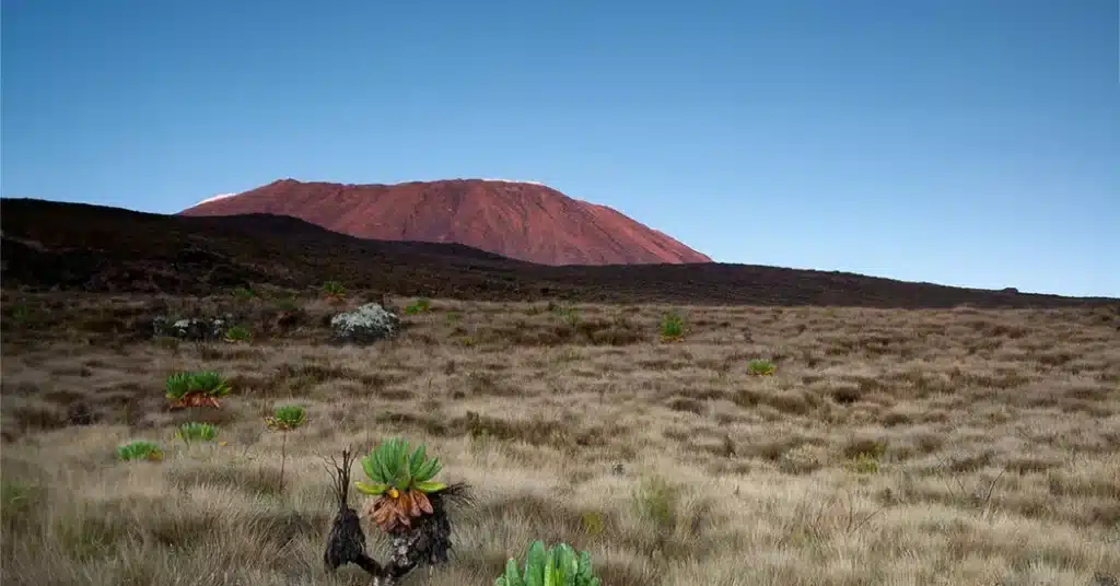 7 Days Kilimanjaro Lemosho Route