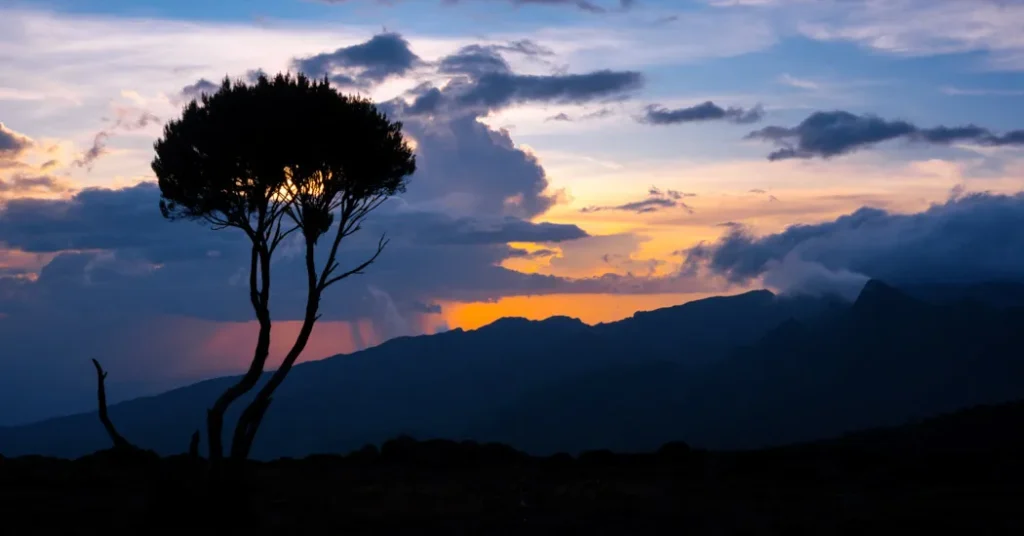 7 Days Kilimanjaro Machame Route