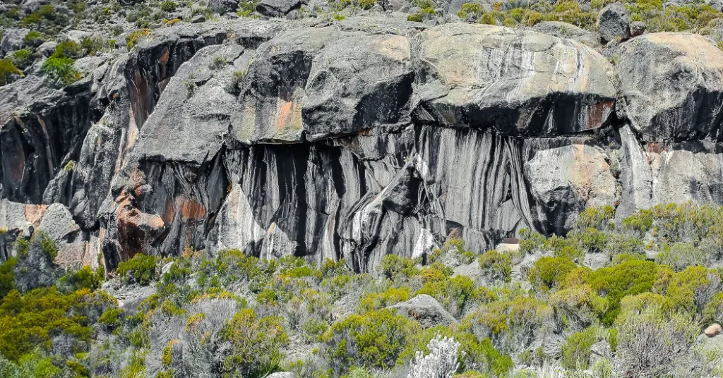 8 Days Kilimanjaro Lemosho Route